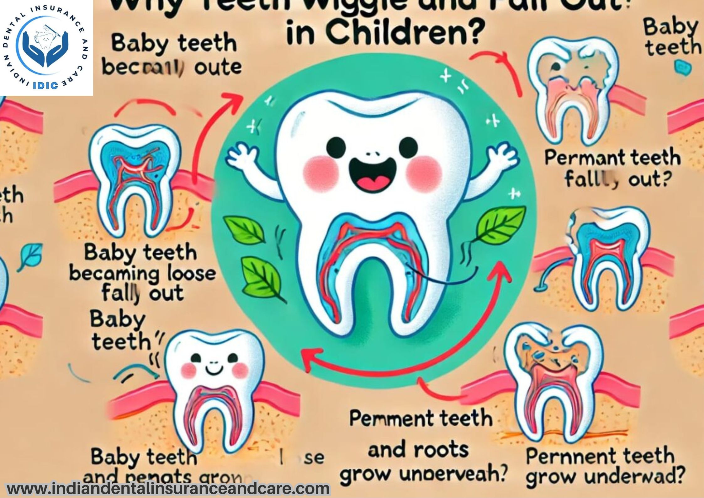 Why Your Teeth Wiggle and Fall Out? And How to Stop It!